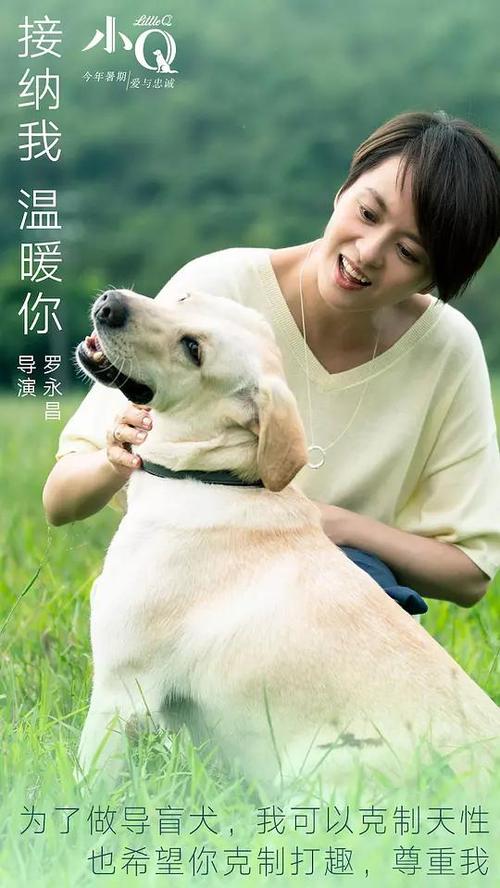 詹姆斯麦迪逊大学DiplomainBusinessManagement